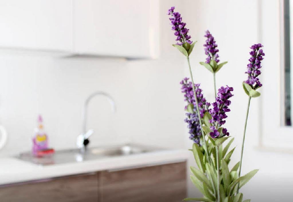 Apartment Lavanda Split Eksteriør bilde