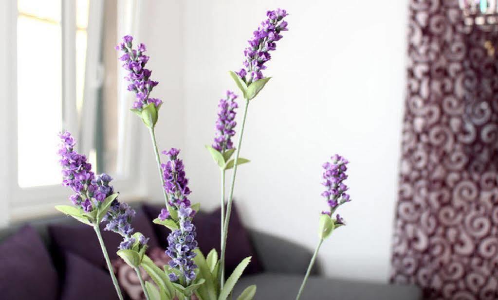 Apartment Lavanda Split Eksteriør bilde